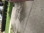 5C2CCB41-2F1D-4548-9857-3C5152434E36.jpeg