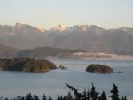 IMG_0937.jpg