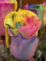 IMG_9479.JPEG