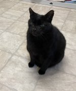 0B1E0988-FF69-490B-BE53-C9550C323D2B.jpeg