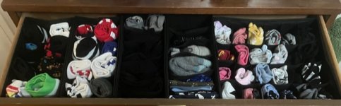 IMG_0213.jpeg