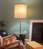 IMG_0388.jpeg