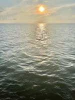 IMG_1499.jpeg