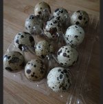IMG_1805.jpeg