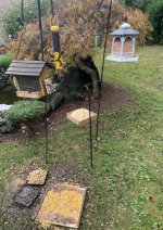 IMG_2827.jpeg
