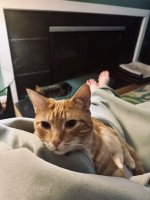IMG_1267.jpeg