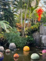 IMG_3186.jpeg