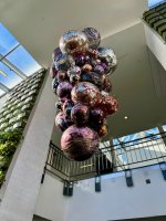 IMG_3035.jpeg