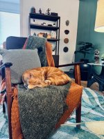 IMG_3577.jpeg
