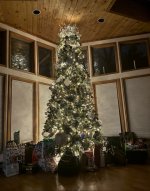 IMG_3775.jpeg