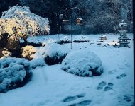IMG_5971.jpeg