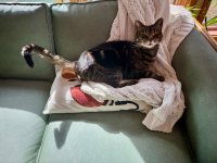 IMG_6073.jpeg