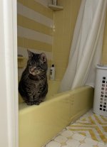 IMG_6472.jpeg