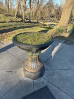 IMG_7502.jpeg