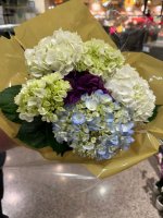 IMG_8544.jpeg