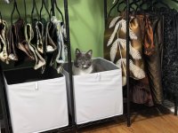 IMG_6400.jpeg