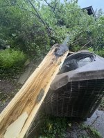 IMG_5369.jpeg