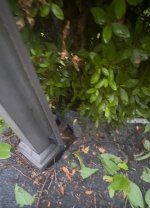 IMG_5458.jpeg