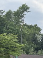 IMG_5453.jpeg
