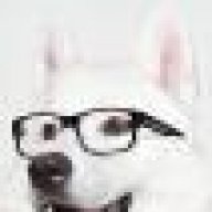 Dwolf