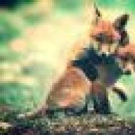 LittleMamaFox