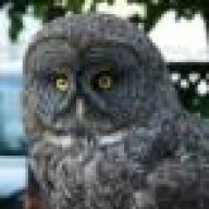FeatherFool