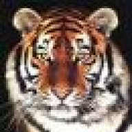 tigersgirl4ever