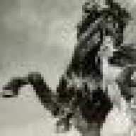 Bucephalus1965
