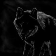 WolfShadow