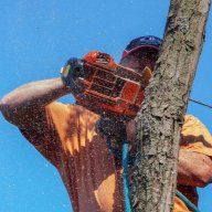 hawthornetreeserviceprosu