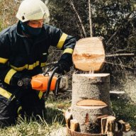wausautreeserviceprosus