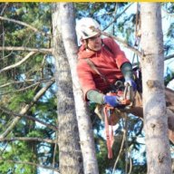 pompanotreeserviceprosus