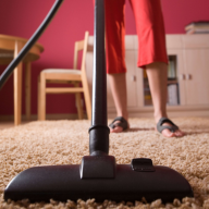 newtoncarpet