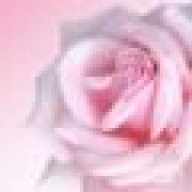 LotusesandRoses