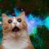 CosmoKitty