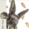 NerdyBunny