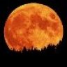 Selene