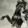 Bucephalus1965