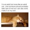 Kitten0907