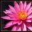 Pinky1223