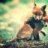 LittleMamaFox