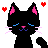 polykitten