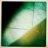 monaural