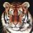 tigersgirl4ever
