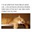 Kitten0907