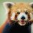 victoriabear:3