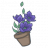 NotPetunias