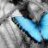 dfly67