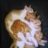 KittySpoonTrain
